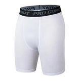 Mens Quick-Dry Sports Leggings Bottoming Shorts