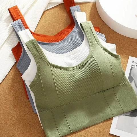 Womens Seamless Sports Bra Beautiful Back Crop