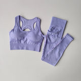 Womens Crop Top Sports Bra Fitness Tank Top Set